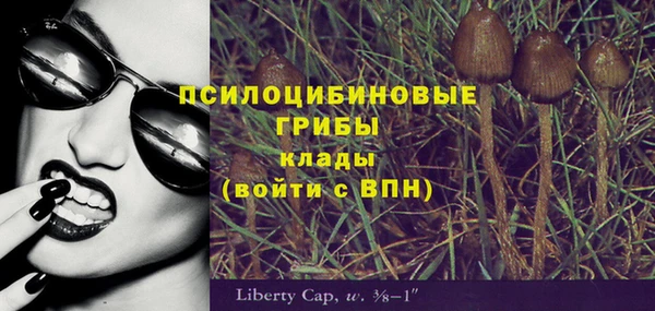 спайс Алексин