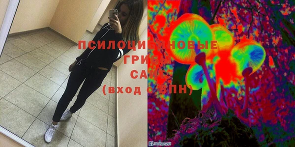 2c-b Алзамай